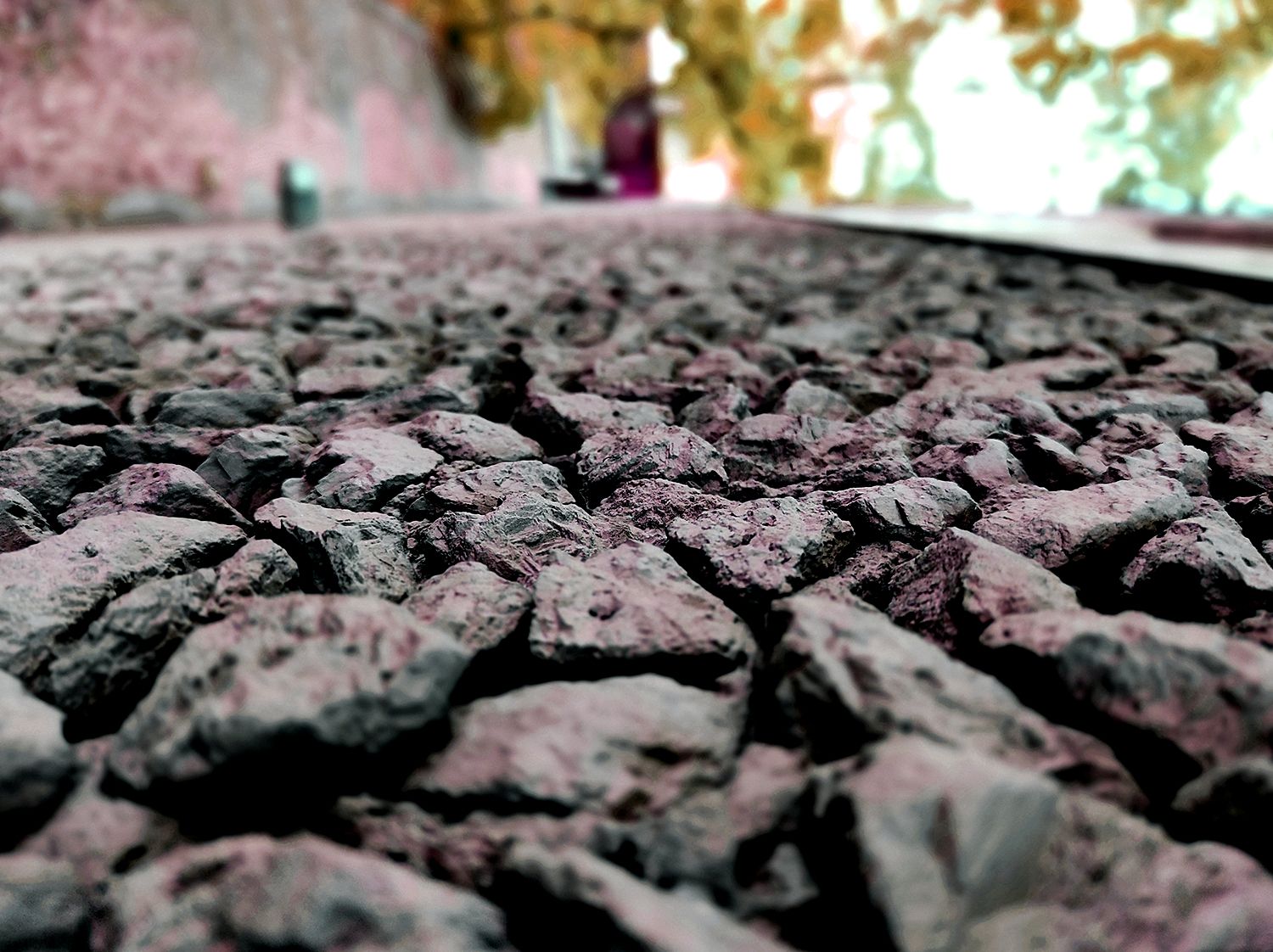 IMG_20250505_114228 (2)